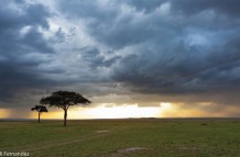 Tormenta en el Masai Mara