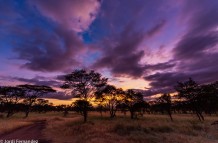 Amanecer en el Serengeti